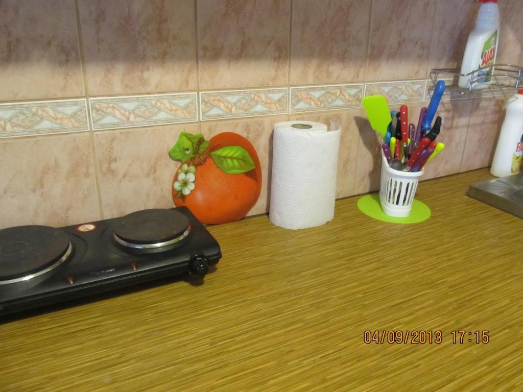 Frendlen Metsa Apartment Pärnu Exteriör bild